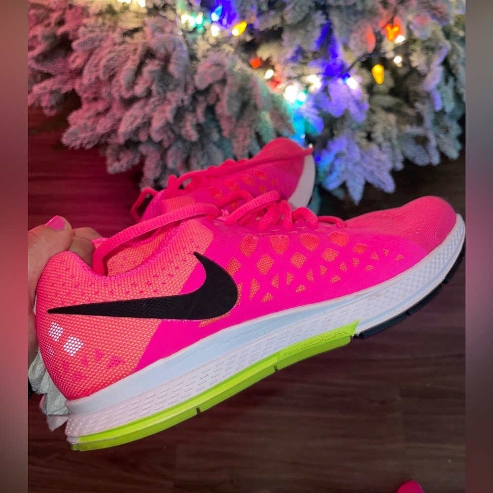 Nike Pegasus 31